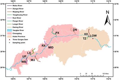 Sediment Particle Size Composition in the Riparian Zone of the Three Gorges Reservoir